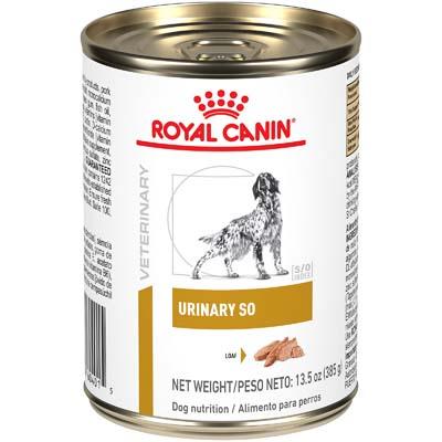 royal canin td